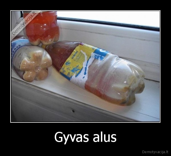 Gyvas alus