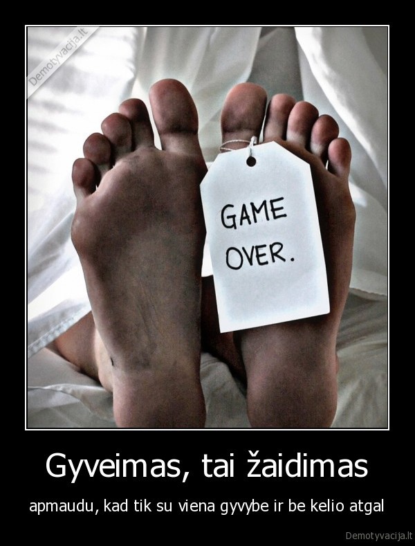 gyveimas,zaidimas