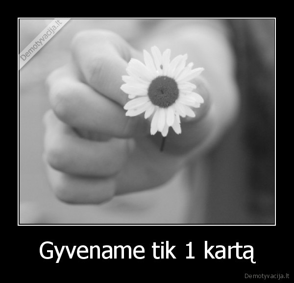 Gyvename tik 1 kartą