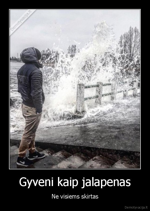 jalapenas, ne, visiems, tu, gyveni, kaip, du, kart, du, ir, vel, eini, is, tu