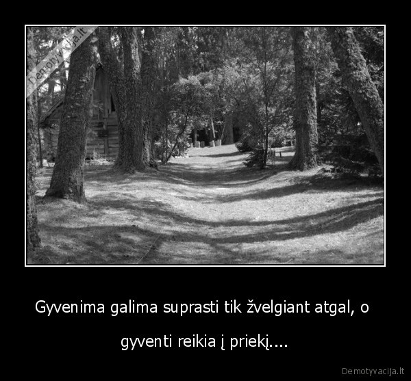 Gyvenima galima suprasti tik žvelgiant atgal, o 