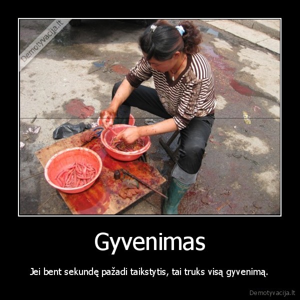 Gyvenimas