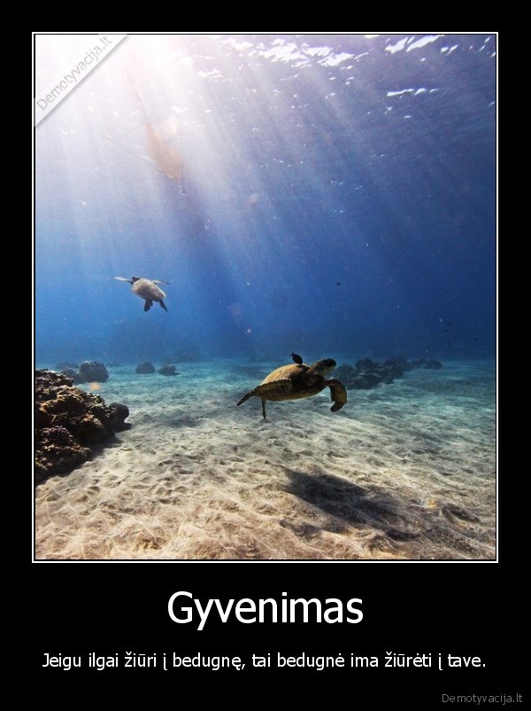 dugnas,bedugne,gyvenimas