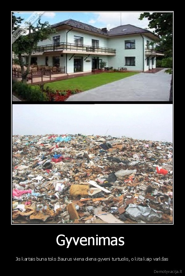 gyvenimas