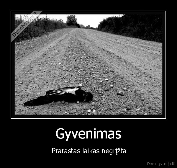 Gyvenimas