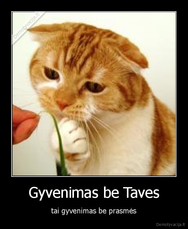 Gyvenimas be Taves