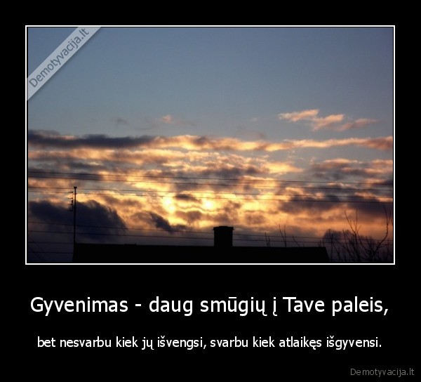 gyvenimas, smugiai, daug