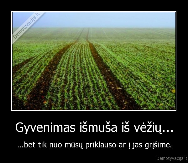 Gyvenimas išmuša iš vėžių...