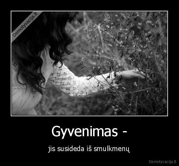 smulkmenos,gyvenimas