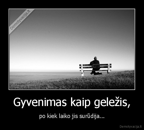 Gyvenimas kaip geležis,