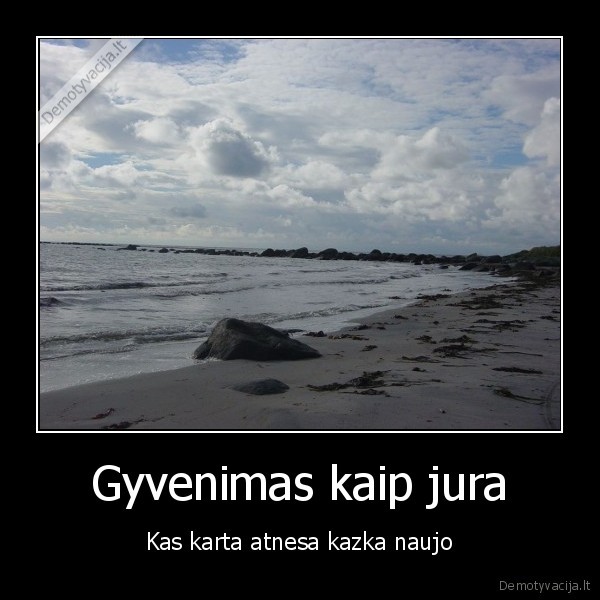 Gyvenimas kaip jura