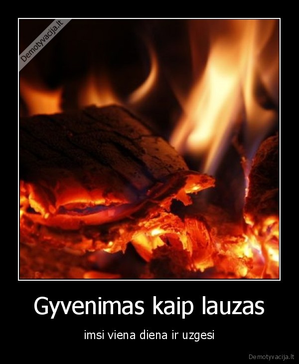 Gyvenimas kaip lauzas