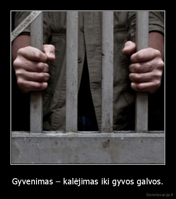 gyvenimas, gyvos, galvos, sale, lovos