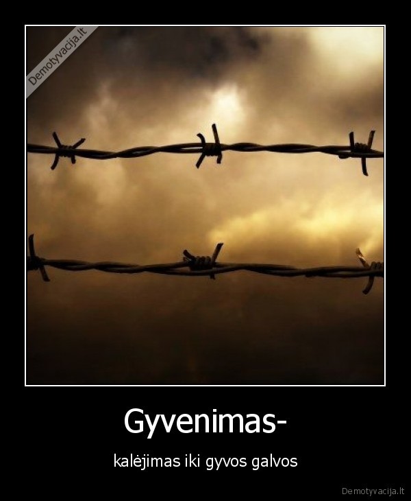 gyvenimas, kalejimas, gyva, galva