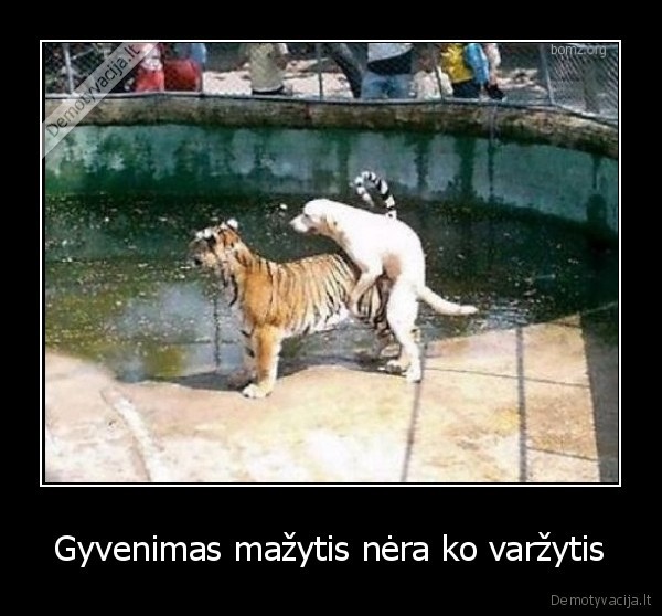 Gyvenimas mažytis nėra ko varžytis