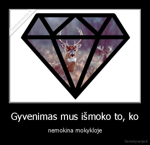 Gyvenimas mus išmoko to, ko