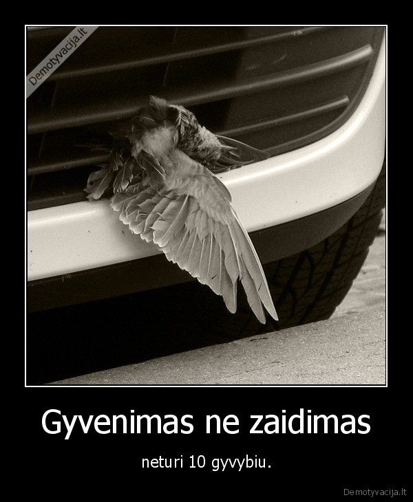 Gyvenimas ne zaidimas