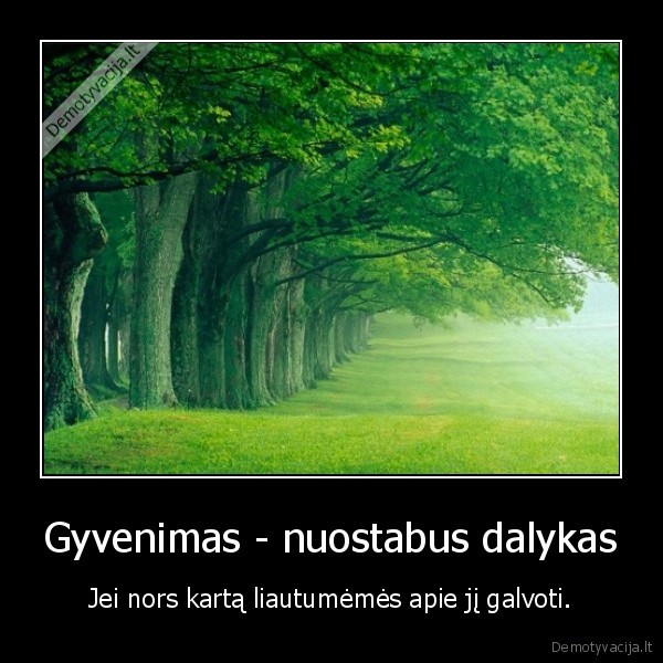 gyvenimas, geras