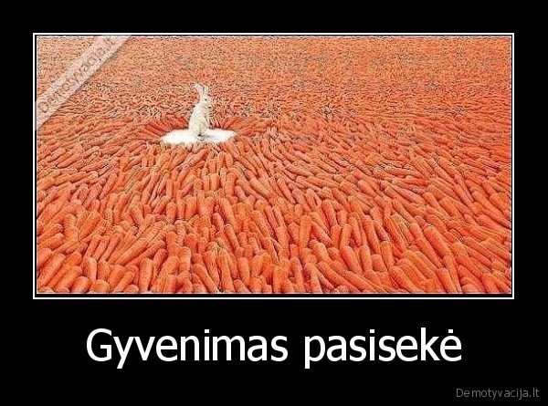 Gyvenimas pasisekė