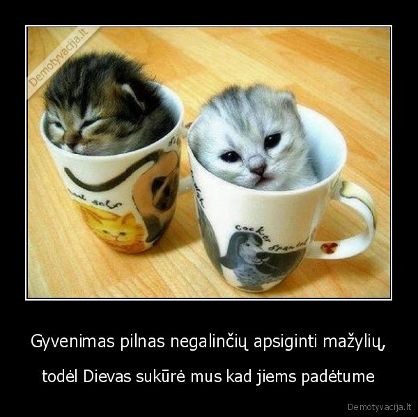 Gyvenimas pilnas negalinčių apsiginti mažylių,