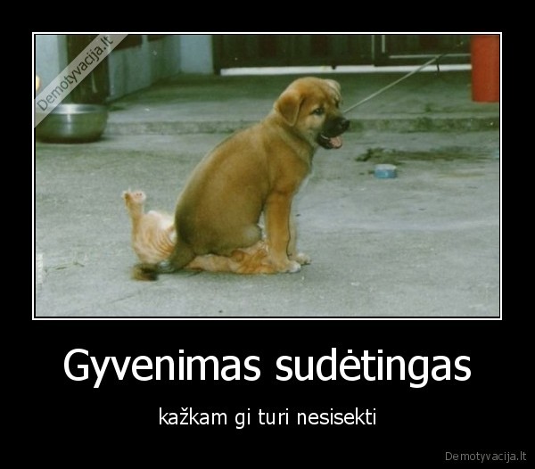 Gyvenimas sudėtingas