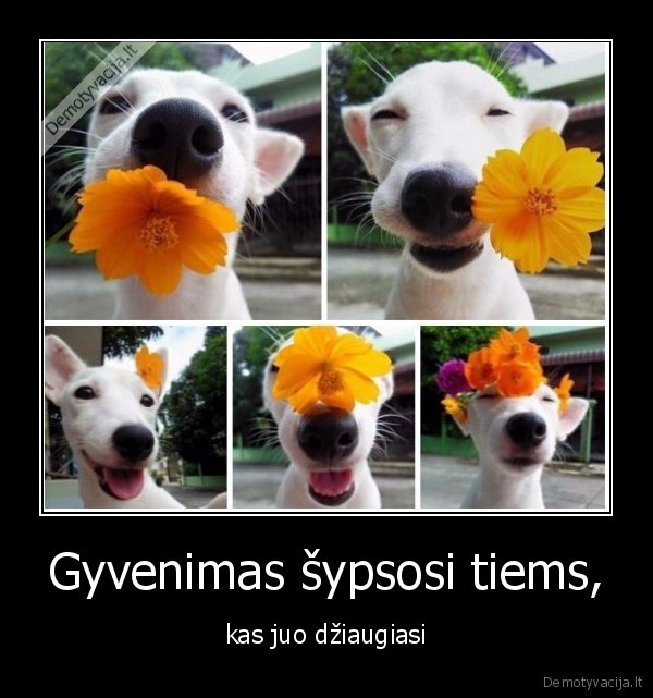 gyvenimas,sekme,dziaugtis