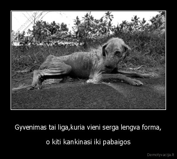 Gyvenimas tai liga,kuria vieni serga lengva forma,