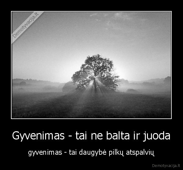 gyvenimo, spalvos,poziuris, i, gyvenima