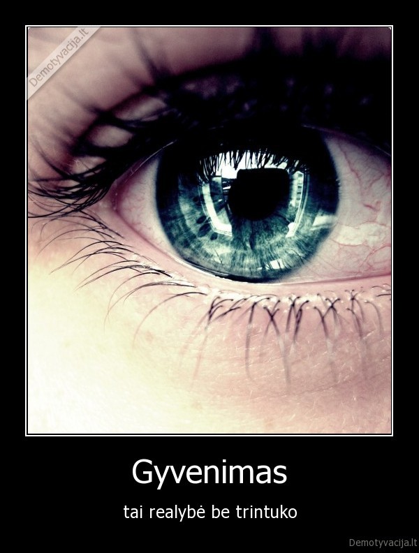 Gyvenimas