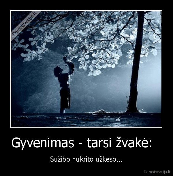 Gyvenimas - tarsi žvakė:  