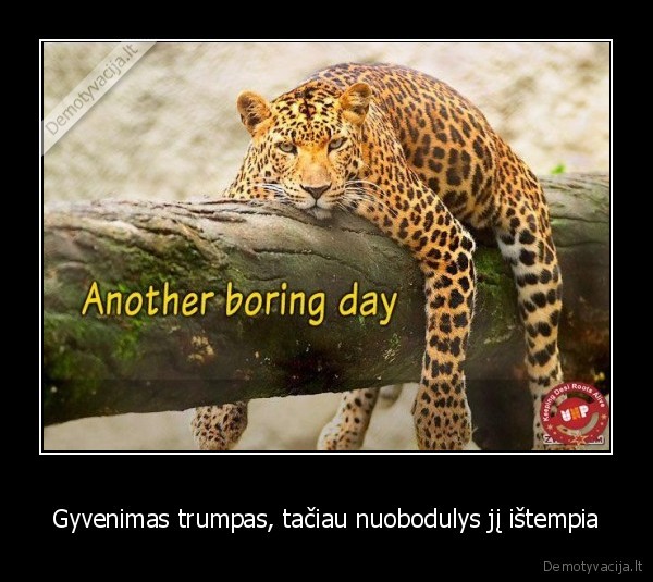 Gyvenimas trumpas, tačiau nuobodulys jį ištempia