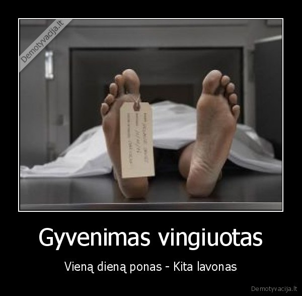 ponas, lavonas, kramtyk, ausi, suka