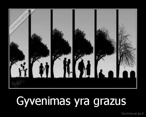 Gyvenimas yra grazus 