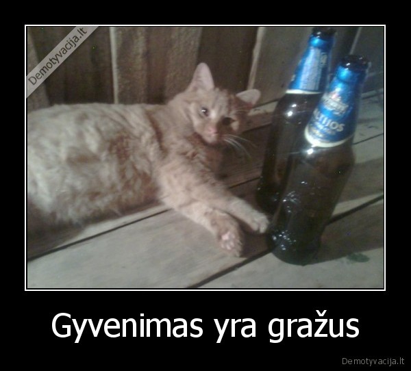 Gyvenimas yra gražus