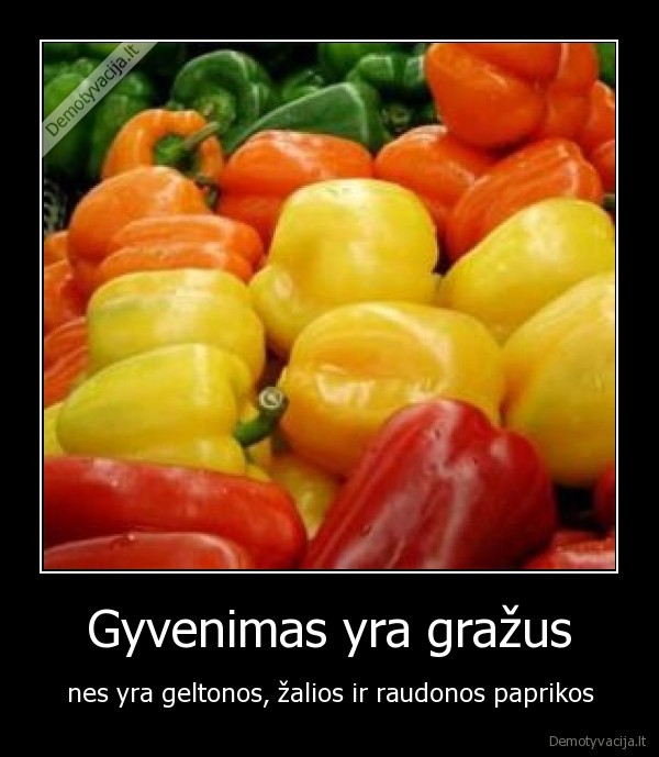 Gyvenimas yra gražus