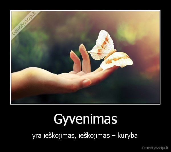 gyvenimas,s., neris