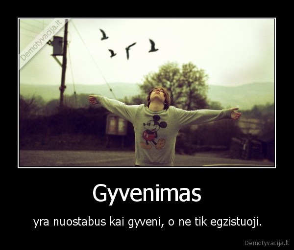 gyvenk