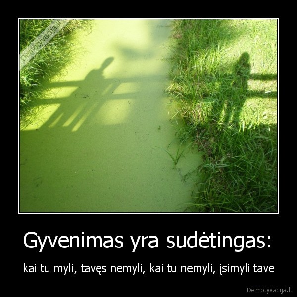 Gyvenimas yra sudėtingas: