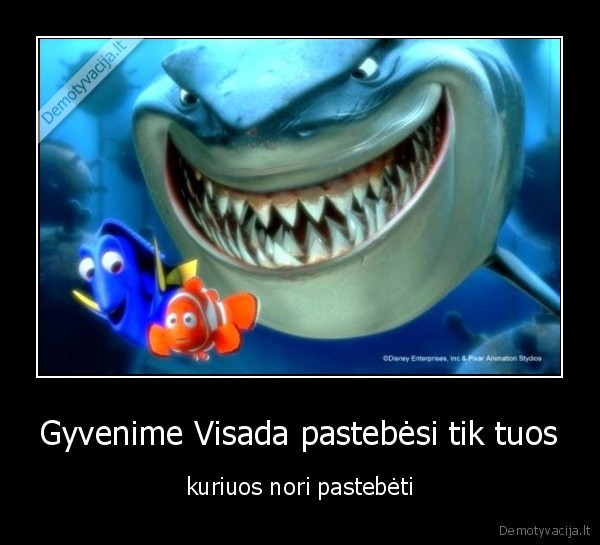 gyvenimas, egocentriskas