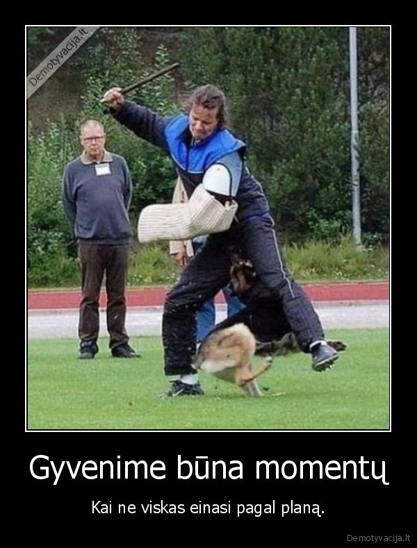 suo,ikando,i, jajkes