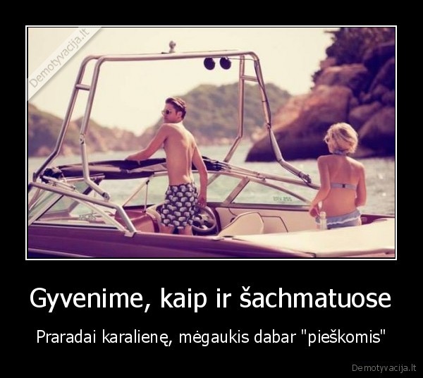 sachmatai,pieskos,gyvenimas