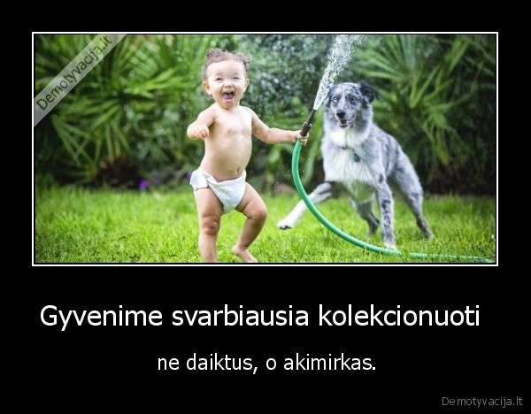 Gyvenime svarbiausia kolekcionuoti 