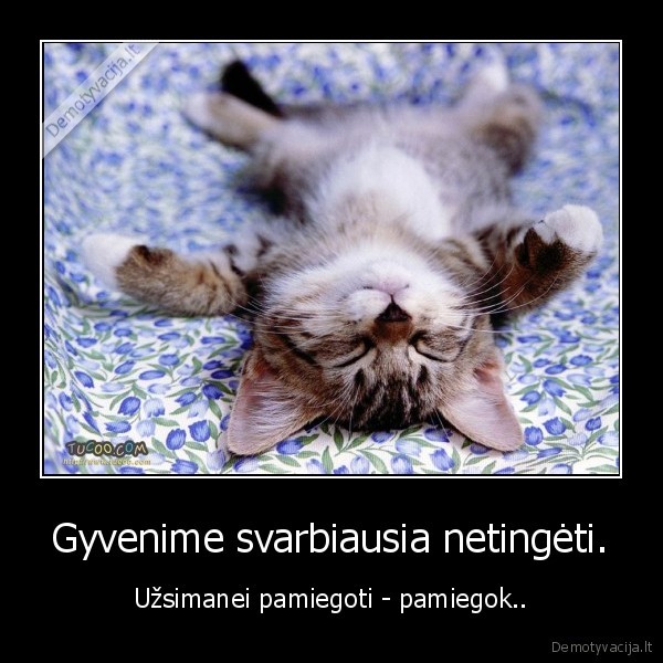 Gyvenime svarbiausia netingėti.