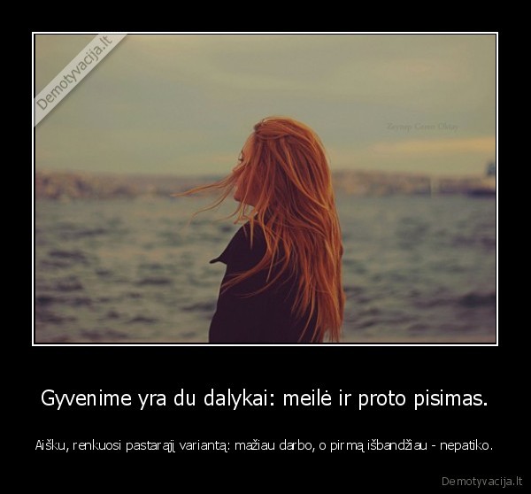 Gyvenime yra du dalykai: meilė ir proto pisimas.