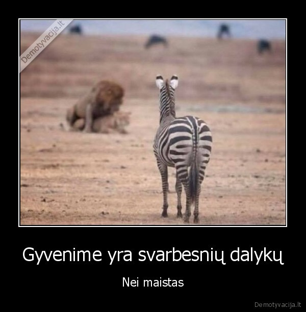 seksas,zebras,liutai