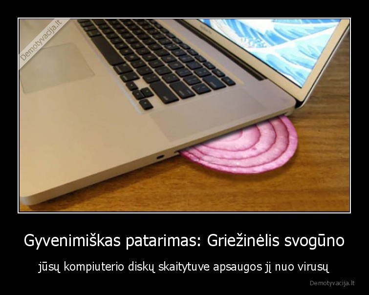 ziema,virusai,svogunai