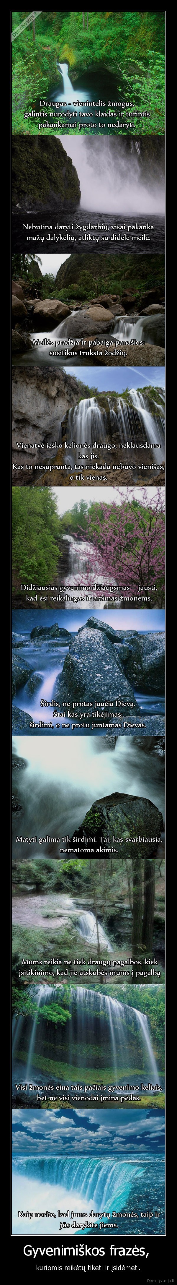 Gyvenimiškos frazės, 