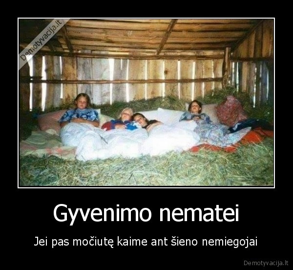 miegas, ant, sieno,darzine