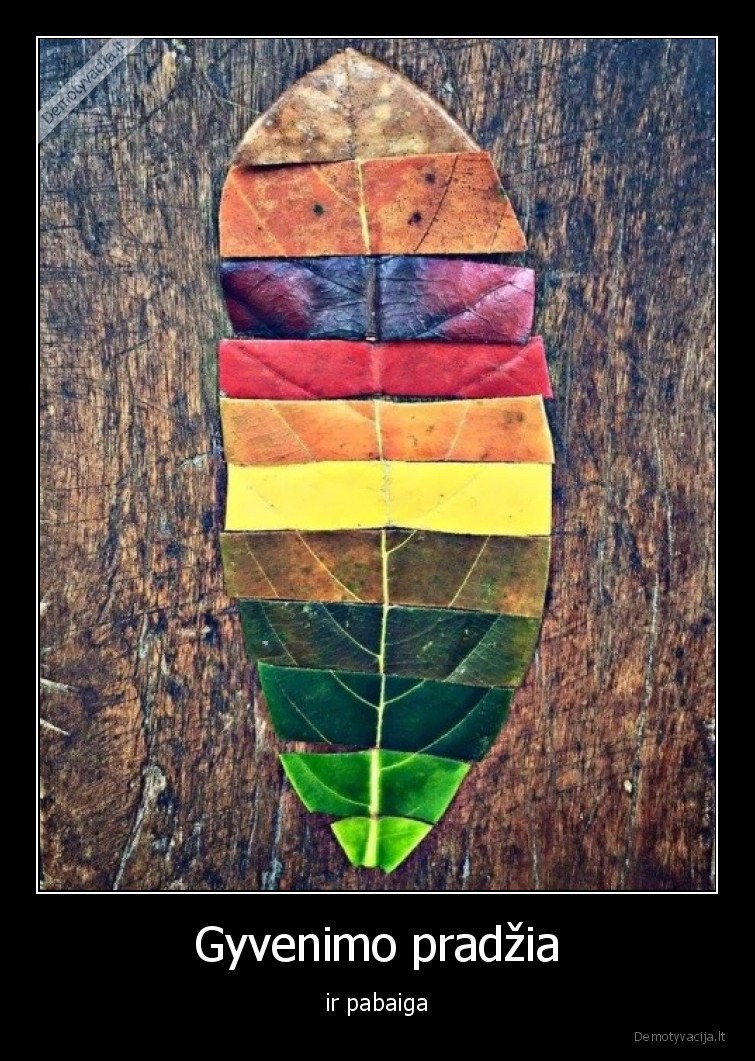 lapas,gyvenimas,pradzia,pabaiga