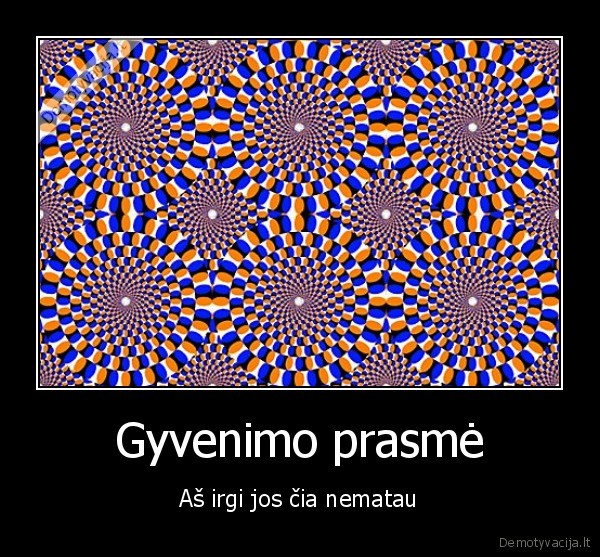 gyvenimas, prasme, nemtaua, optine, iliuzija